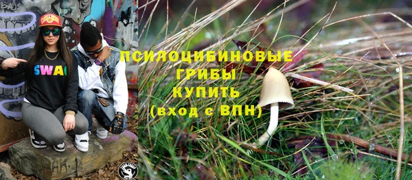 хмурый Медногорск