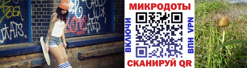 Галлюциногенные грибы мухоморы  Смоленск 